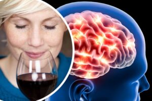 Perfil 12 Perfil Alcohol cerebro