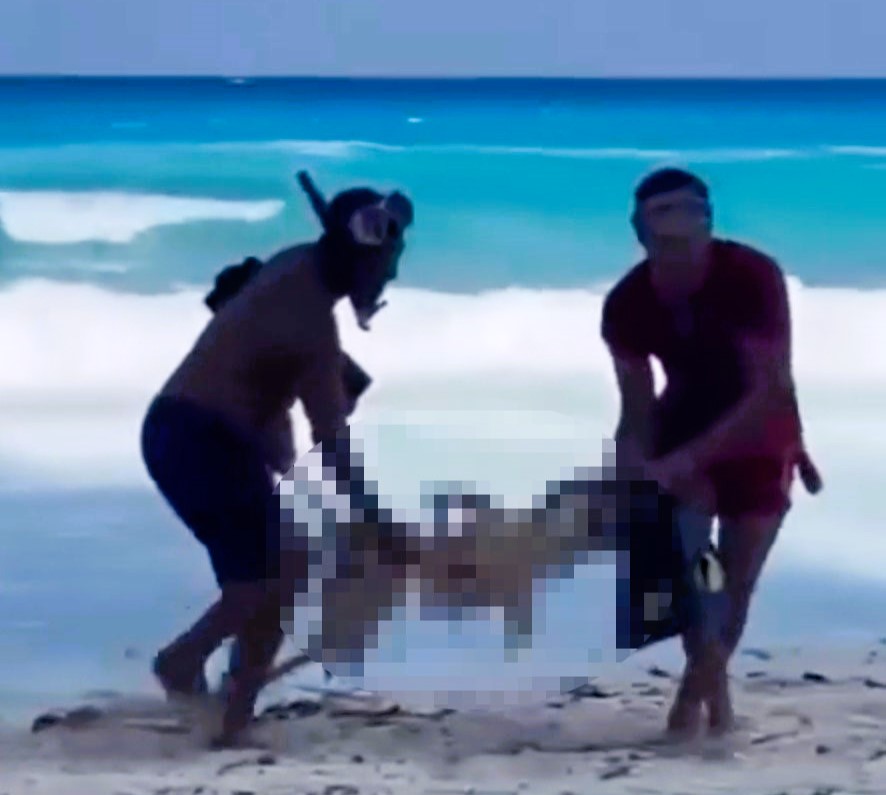 Skeleton of US tourist washes up on beach after being eaten by sharks 6