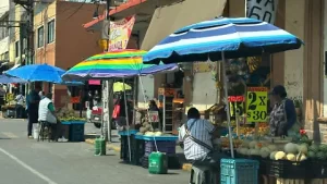 image-1.webp