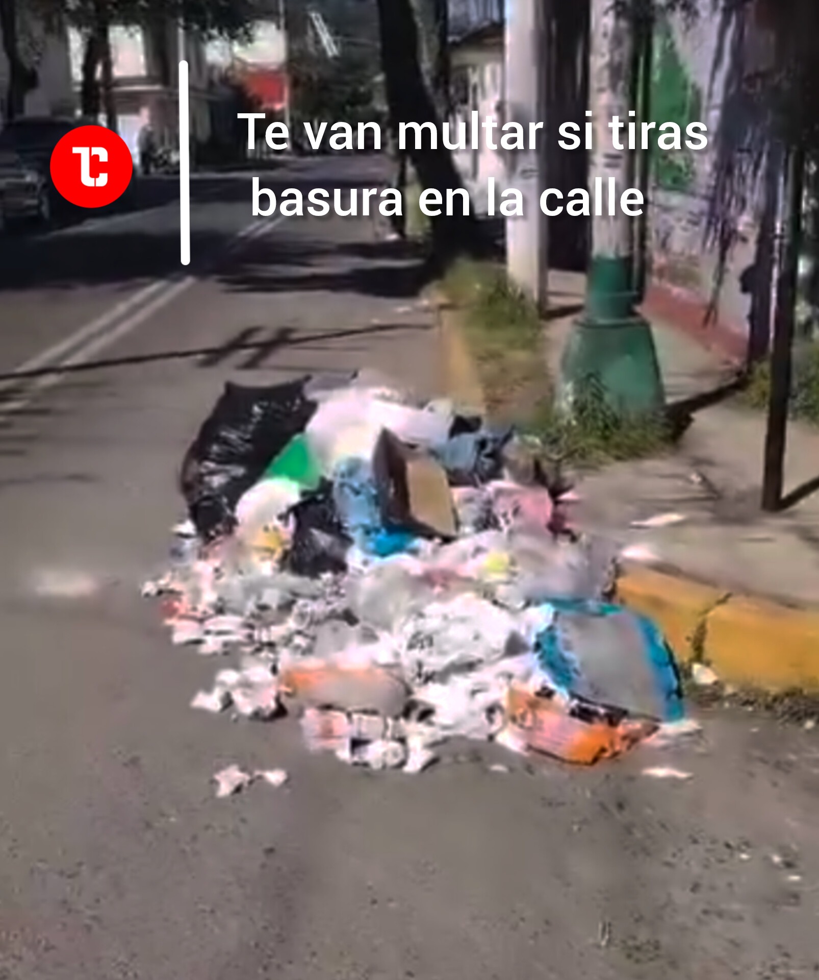 Multa si tiras basura en la calle en Toluca 2 Multa si tiras basura en la calle en Toluca InShot 20250608 094451198